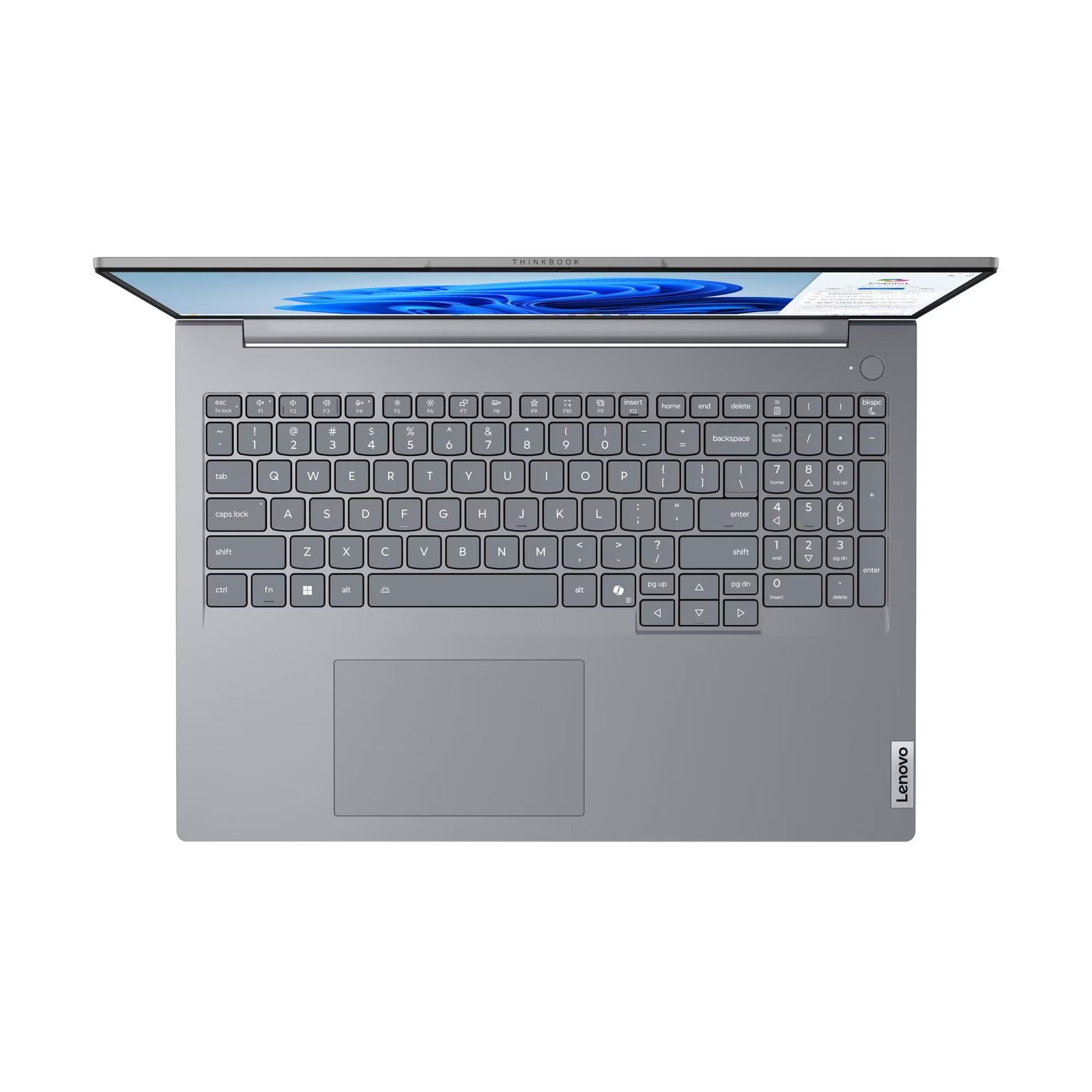 Vista 5