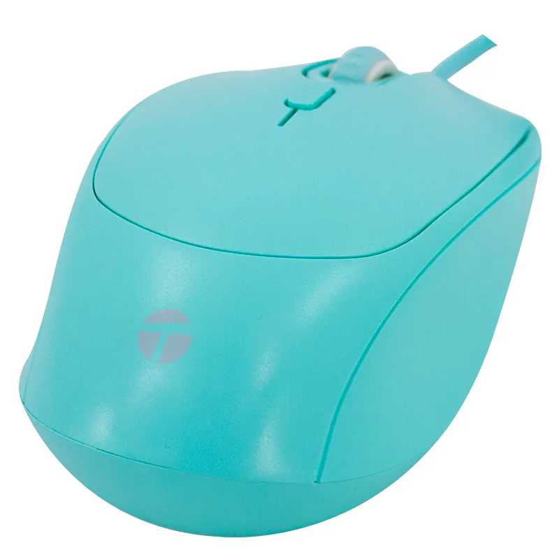Vista 4